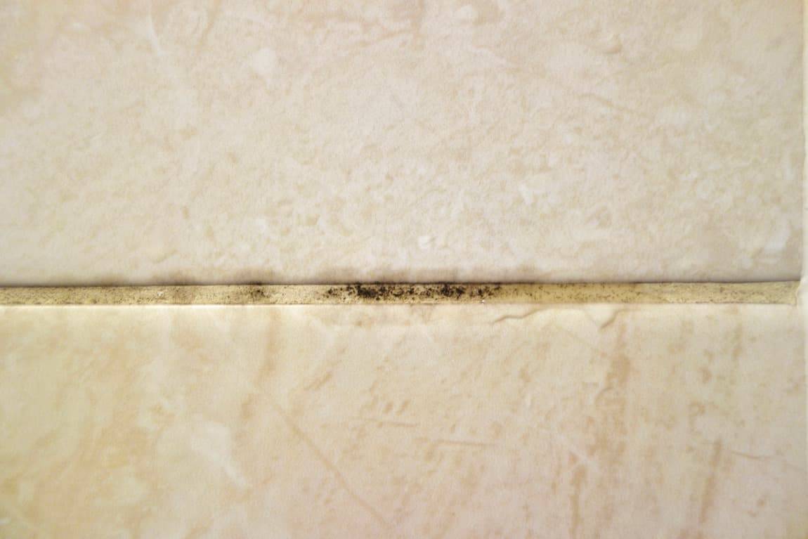 How to clean mold in shower grout naturally | HomeExplained.com